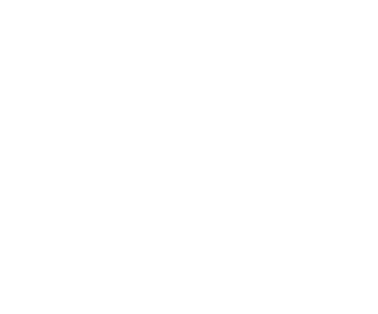 Weretyk Vertigo, Balance, & Hearing. White Icon